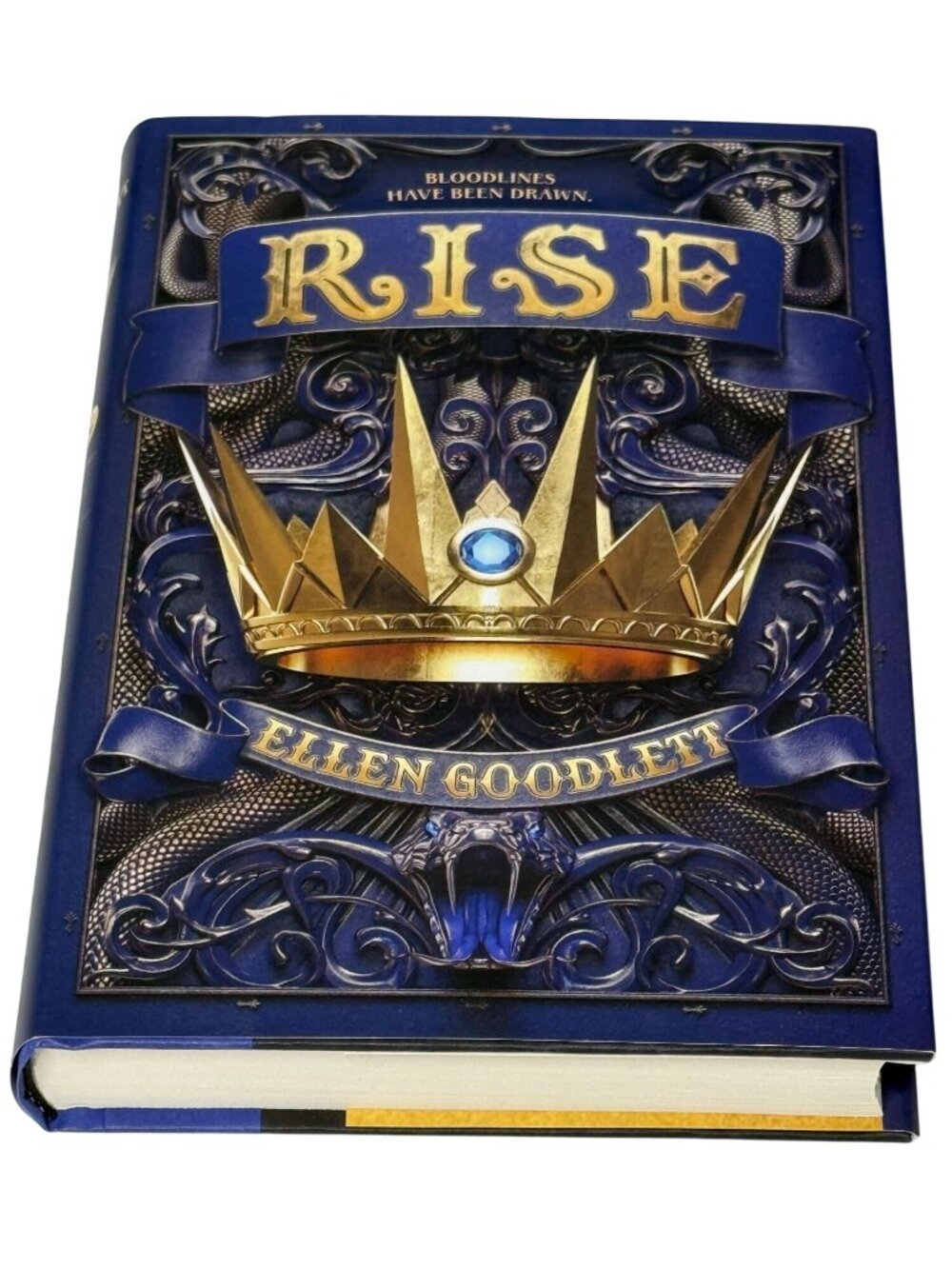 Rise Ellen Goodlett Hardcover YA Fantasy Royal Sisters Sequel Book
